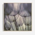 Obraz w ramie 80x80 - Makro dmuchawiec - piękno drobnych detali - dmuchawce, makro - rama drewno