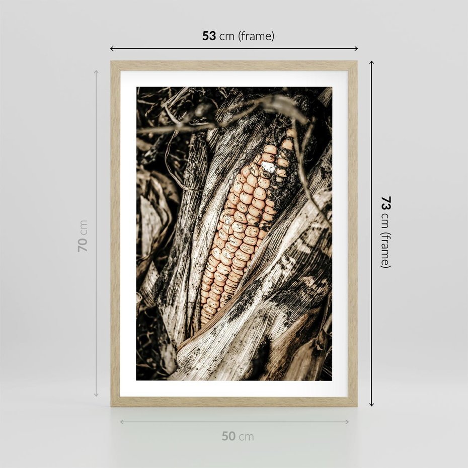 Plakat w ramie 50x70 - Kukurydza w Jesiennej Scenie - kukurydza, jesień - rama drewno