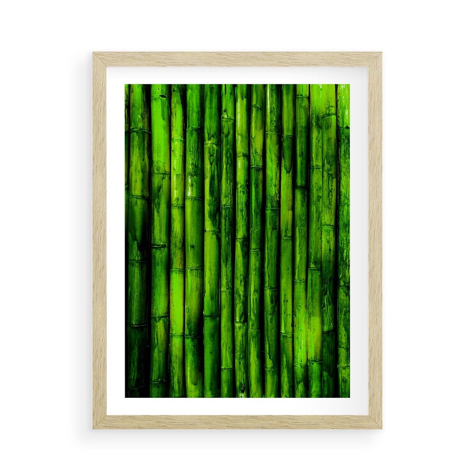 Plakat w ramie 50x70 - Bambusowy urok zielonej harmonii - bambus, zieleń - rama drewno