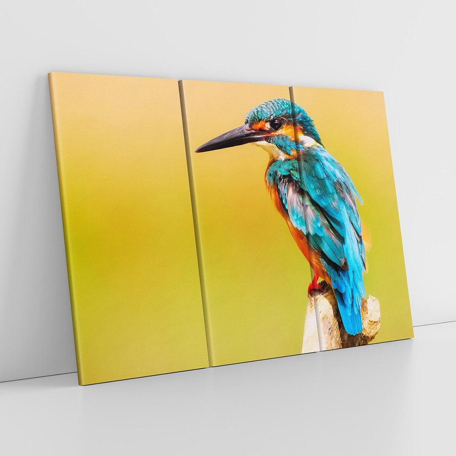 Obraz na płótnie 120x80 - Koliber: Kolorowy taniec w powietrzu - koliber, ptak