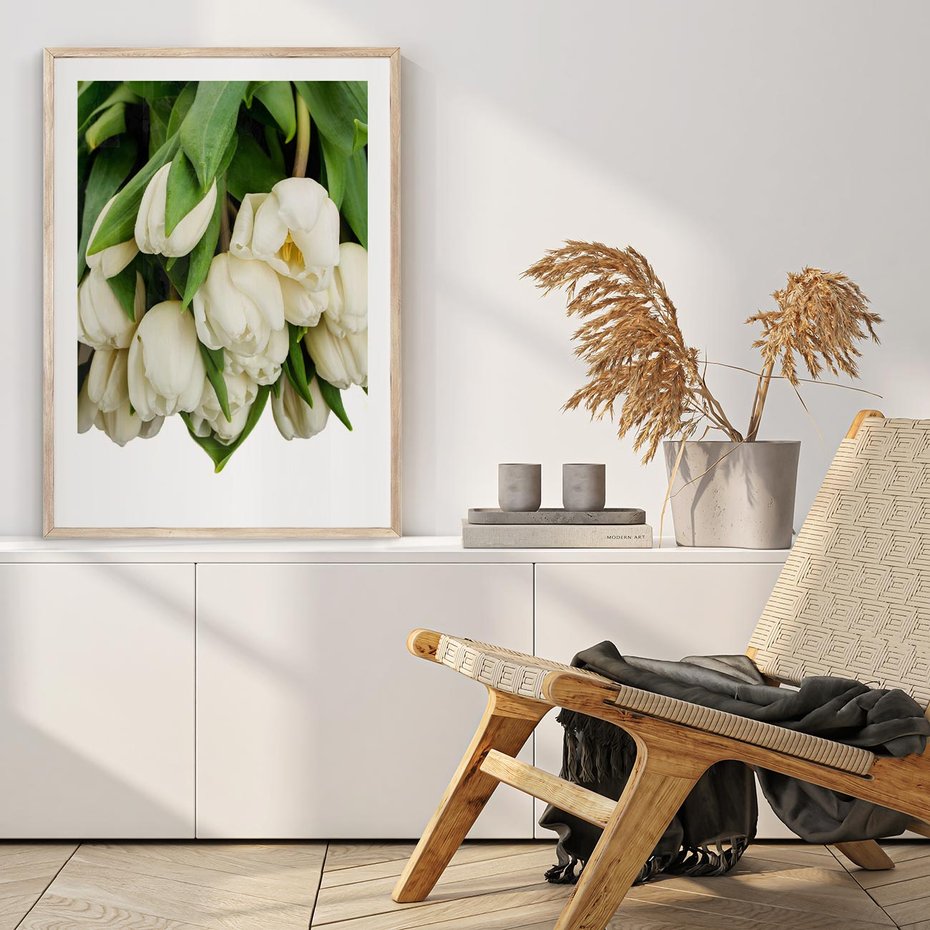 Plakat w ramie 50x70 - Białe tulipany w pełnym rozkwicie - białe, tulipany - rama drewno