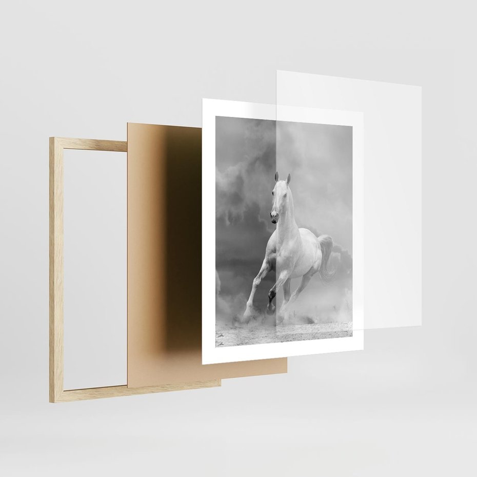 Plakat w ramie 40x50 - Elegancja w Czarno-Białym - koń, biało - rama drewno