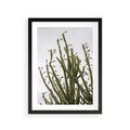 Plakat w ramie 30x40 - Ekskluzywna Roślinność - kaktusy, liście - rama czarna