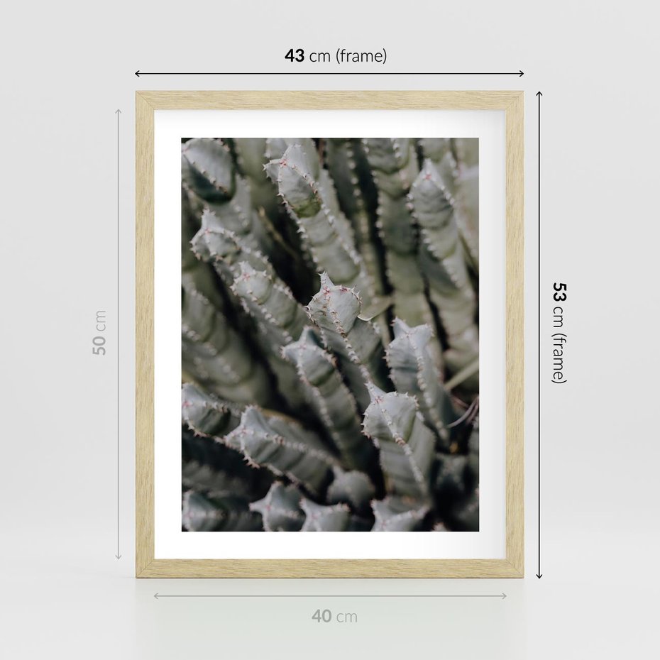 Plakat w ramie 40x50 - Boho kaktusy na pustyni - kaktusy, pustynia - rama drewno