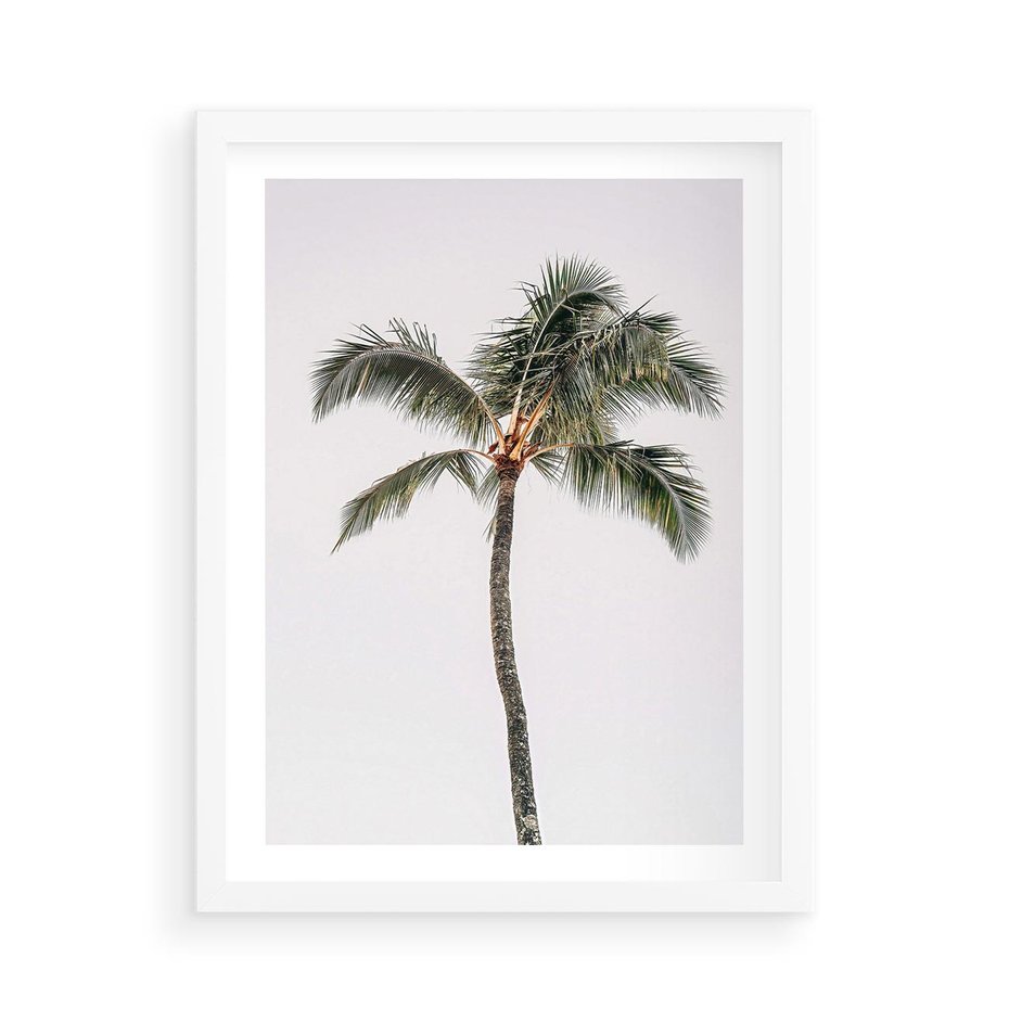 Plakat w ramie 50x70 - Wakacyjne Marzenia - palma na tle nieba - rama biała