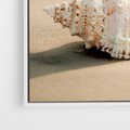 Obraz w ramie 120x80 - Urok plażowej muszelki - fotografia, muszla na plaży - rama biała