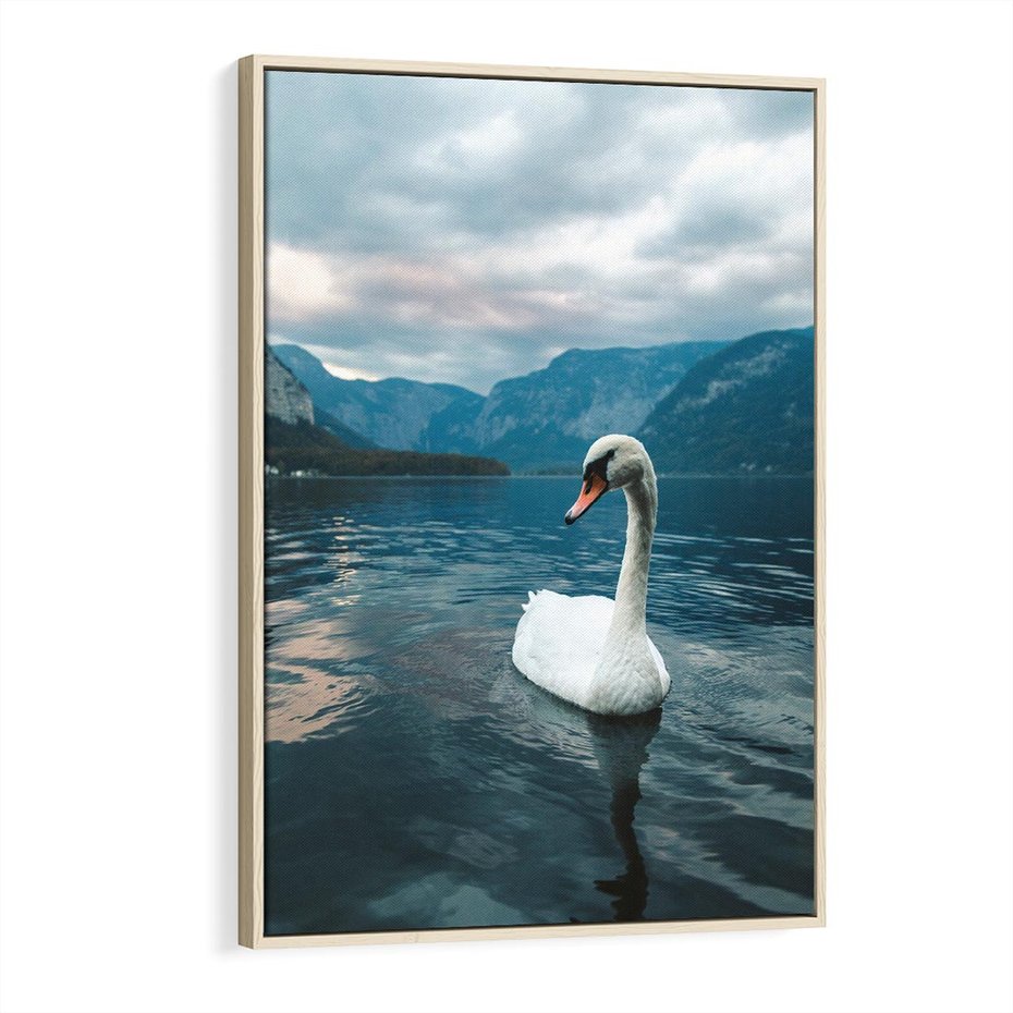 Obraz w ramie 80x120 - Łabędzi Śpiew - fotografia, plakat - rama drewno