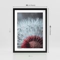 Plakat w ramie 30x40 - Dmuchawiec w Detalu - dmuchawiec, zdjęcie makro - rama czarna
