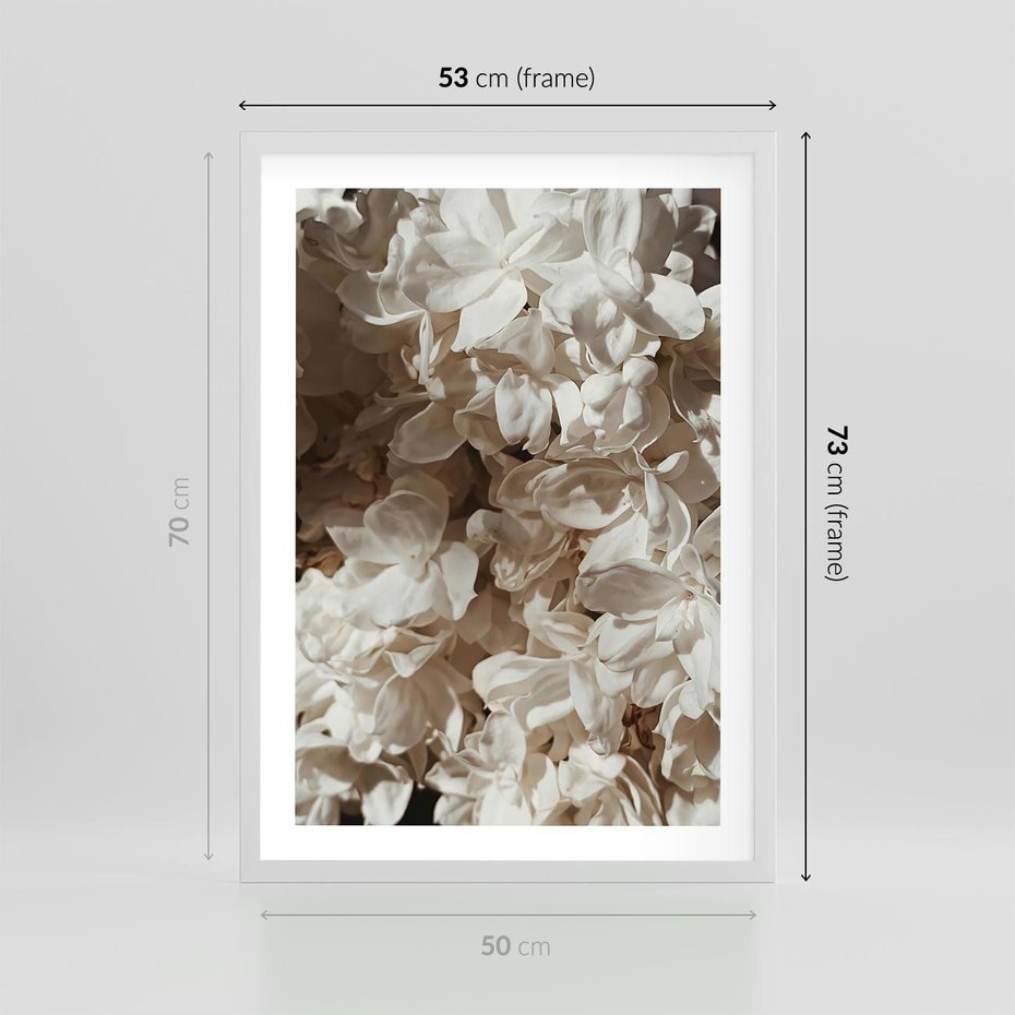 Plakat w ramie 50x70 - Płatki w Detalu - białe kwiaty, zbliżenie - rama biała