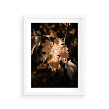 Plakat w ramie 40x50 - Uroczy Liść na Drzewie - jesienny liść, żółty liść na drzewie - rama biała