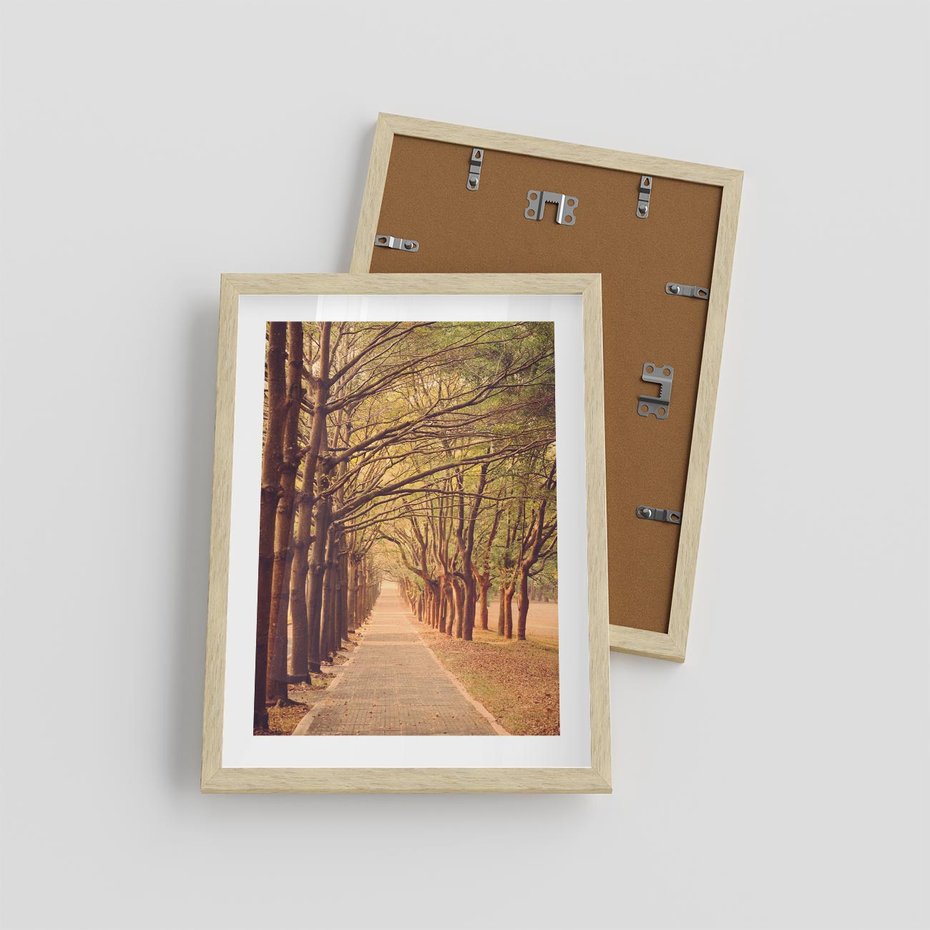 Plakat w ramie 30x40 - Wędrówka między drzewami - droga, drzewa - rama drewno