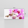 Obraz na płótnie 140x70 - Elegancka orchidea w pełnym rozkwicie - orchidea, kwiat