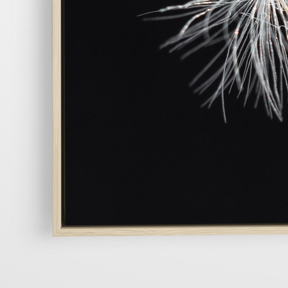 Obraz w ramie 70x50 - Delikatność Wiatru - dmuchawce, makro - rama drewno