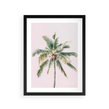 Plakat w ramie 50x70 - Błogość Tropików - palma, tropiki - rama czarna