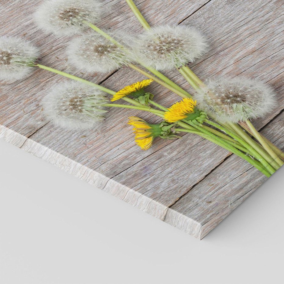 Obraz na płótnie 120x80 - Delikatne dmuchawce w otoczeniu natury - dmuchawce, natura