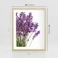 Plakat w ramie 40x50 - Pola lawendy w pełnym rozkwicie - lawenda, kwiaty - rama drewno