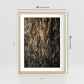 Plakat w ramie 30x40 - Tekstura Drewna: Zbliżenie - zbliżenie na pień drzewa, tekstura - rama drewno