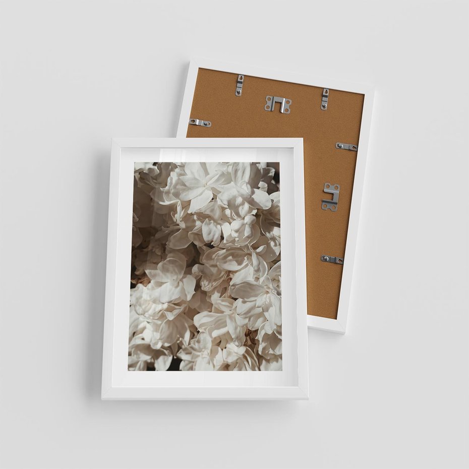 Plakat w ramie 30x40 - Płatki w Detalu - białe kwiaty, zbliżenie - rama biała