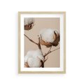 Plakat w ramie 30x40 - Bawełniana melancholia - bawełna, suche - rama drewno