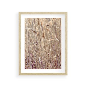 Plakat w ramie 50x70 - Suche Trawy w Wyjątkowym Stylu - suche trawy, boho styl - rama drewno