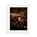 Plakat w ramie 40x50 - Gałęzie i Liść w Brązowej Tonacji - suche gałęzie, liść - rama biała