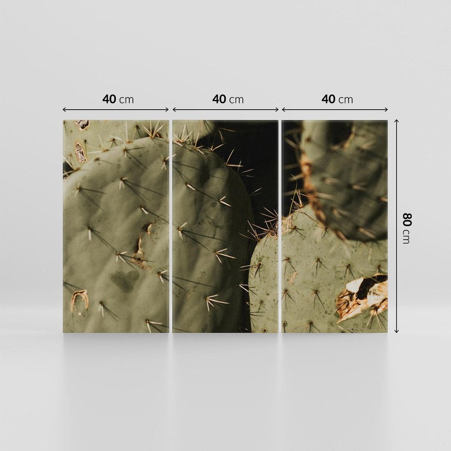 Obraz na płótnie 120x80 - Urok Egzotyki - kaktusy, boho