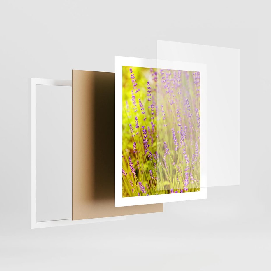 Plakat w ramie 40x50 - Delikatność natury - lawenda, kwiaty - rama biała