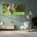 Obraz na płótnie 100x50 - Kocie polowanie w ogrodzie - kot, polowanie