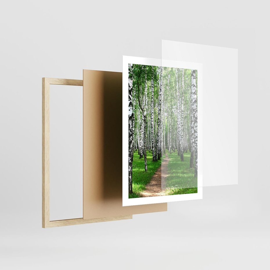 Plakat w ramie 50x70 - Bajkowy las pełen brzóz - las, brzozy - rama drewno