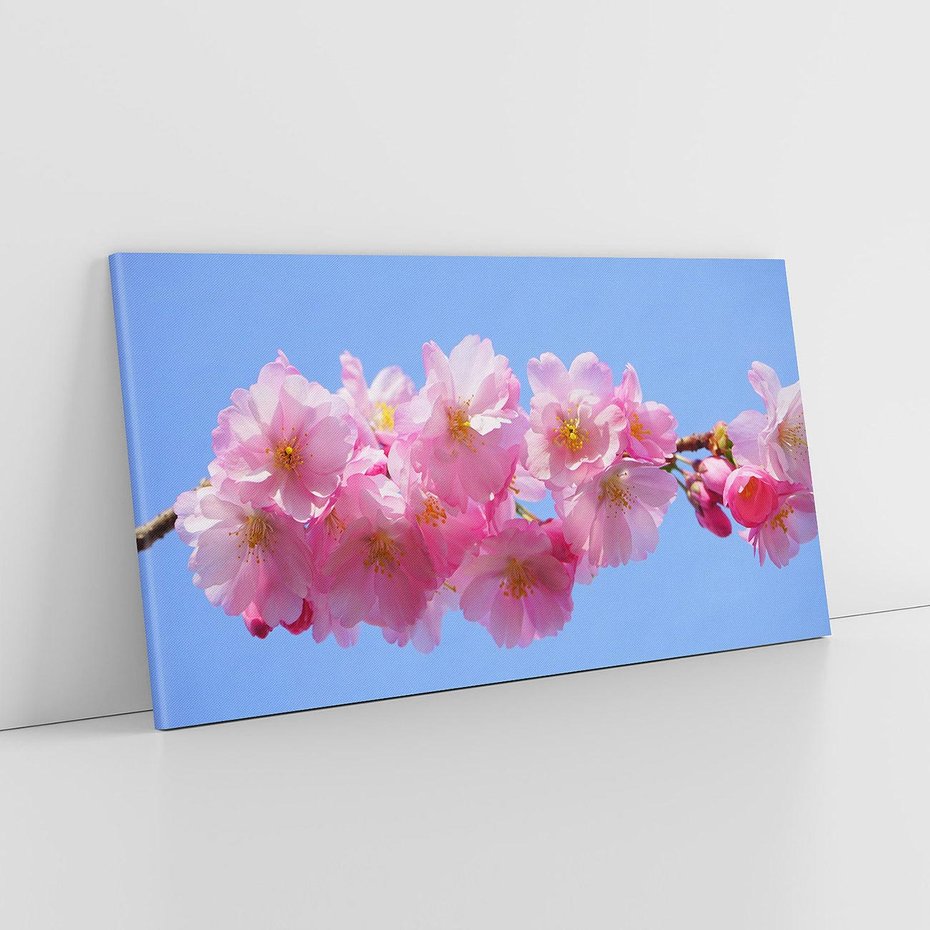 Obraz na płótnie 100x50 - Kwiatowy taniec kolorów - kwiat, kwiaty