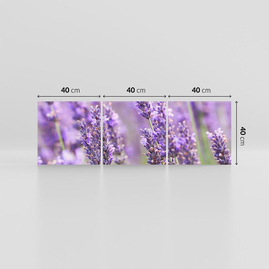 Obraz na płótnie 120x40 - Urok lawendy - lawenda, kwiaty