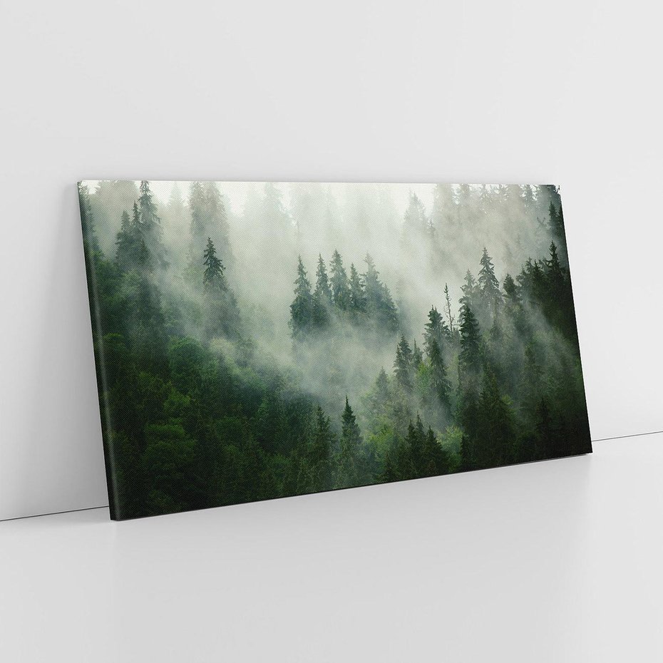 Obraz na płótnie 120x60 - Las Mgły - Las, we