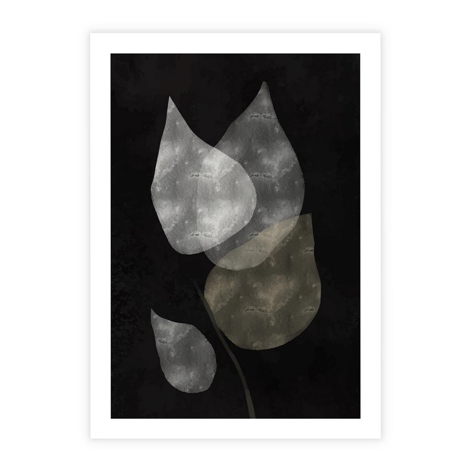 Plakat bez ramy 40x50 - Mroczne Złudzenia - abstrakcyjne liście, mroczna atmosfera
