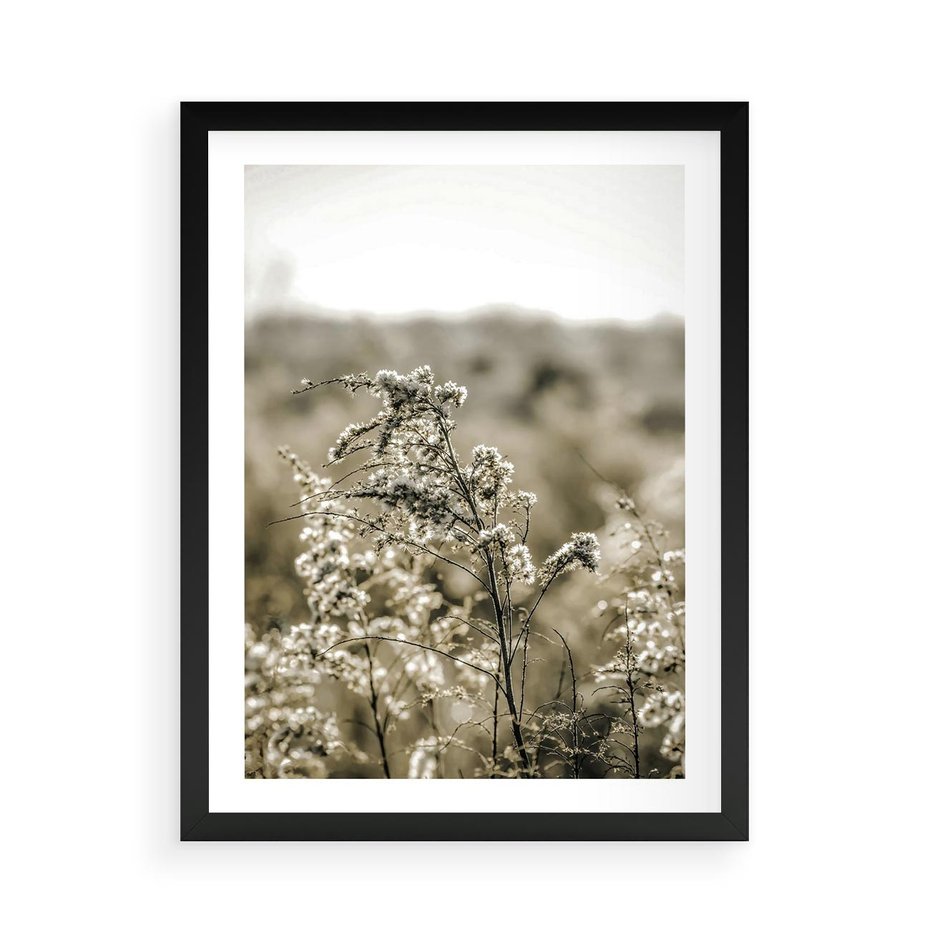 Plakat w ramie 50x70 - Pampas i Bocho - suche trawy, bocho - rama czarna