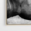 Obraz w ramie 50x50 - Potęga Afryki - czarno biała fotografia, zbliżenie na postać nosorożca - rama drewno