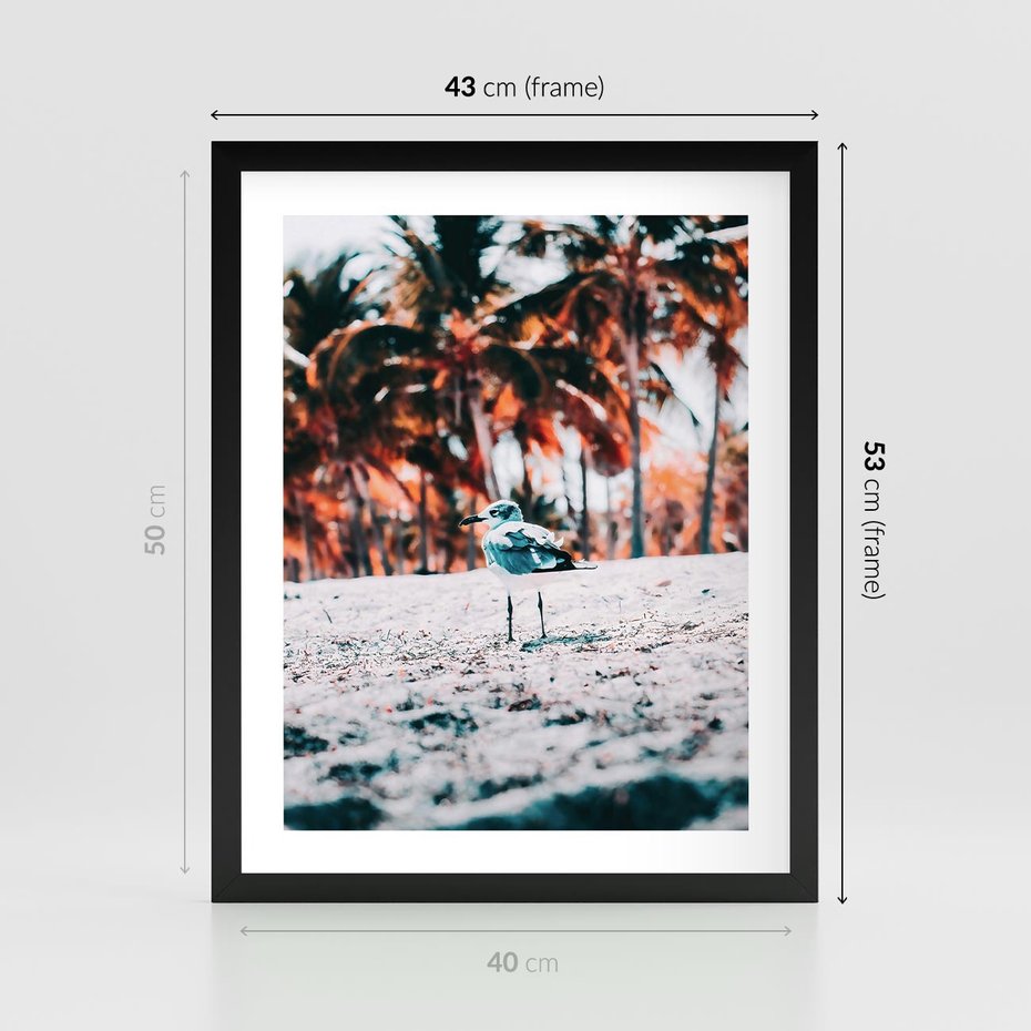 Plakat w ramie 40x50 - Tropikalna Uroda: Plaża z Mewą - tropikalna plaża, mewa na piasku - rama czarna