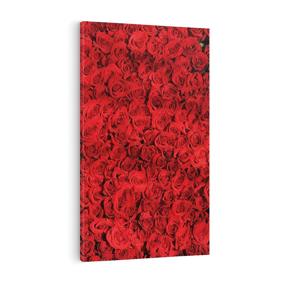 Obraz na płótnie 50x70 - Czerwona Pasja - czerwone, róże