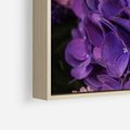 Obraz w ramie 50x50 - Fioletowa hortensja - kwiaty, hortensja - rama drewno