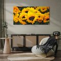 Obraz na płótnie 120x60 - promień słoneczny w kwiatowym świecie - słoneczniki, kwiat