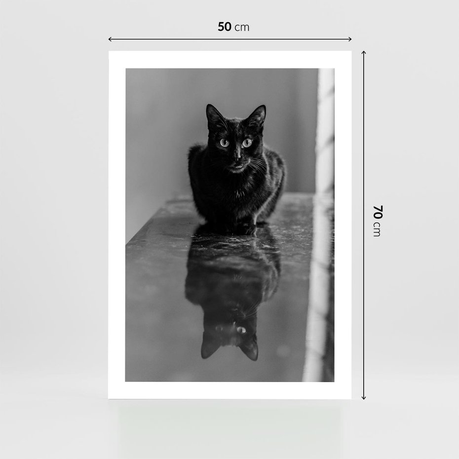 Plakat bez ramy 50x70 - Kocie Oczy - kot, czarno białe zdjęcie