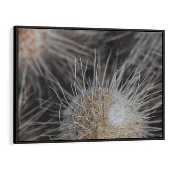 Obraz w ramie 70x50 - Ulotna Piękność Natury - makro, dmuchawce - rama czarna