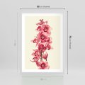 Plakat w ramie 50x70 - Orchidea w spa - relaks - orchidea, spa - rama biała
