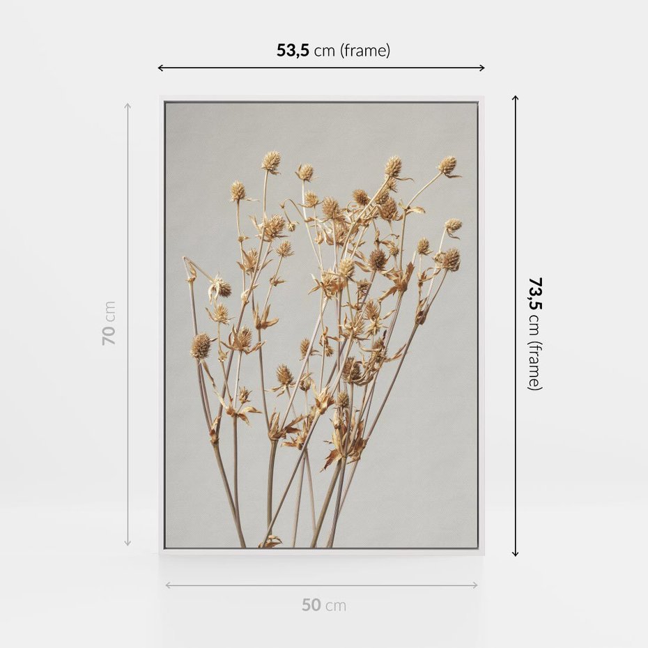 Obraz w ramie 50x70 - Delikatne gipsówki - gipsówka, suche - rama biała