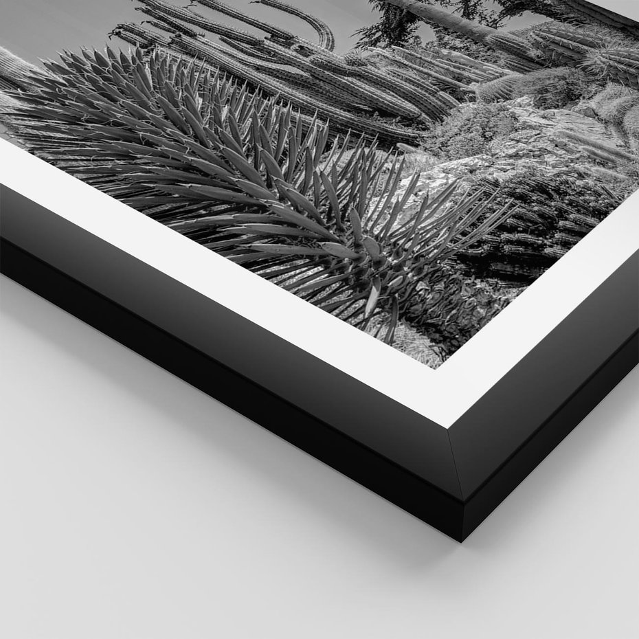 Plakat w ramie 50x70 - Pustynny Klimat - czarno białe zdjecie, pustynia - rama czarna