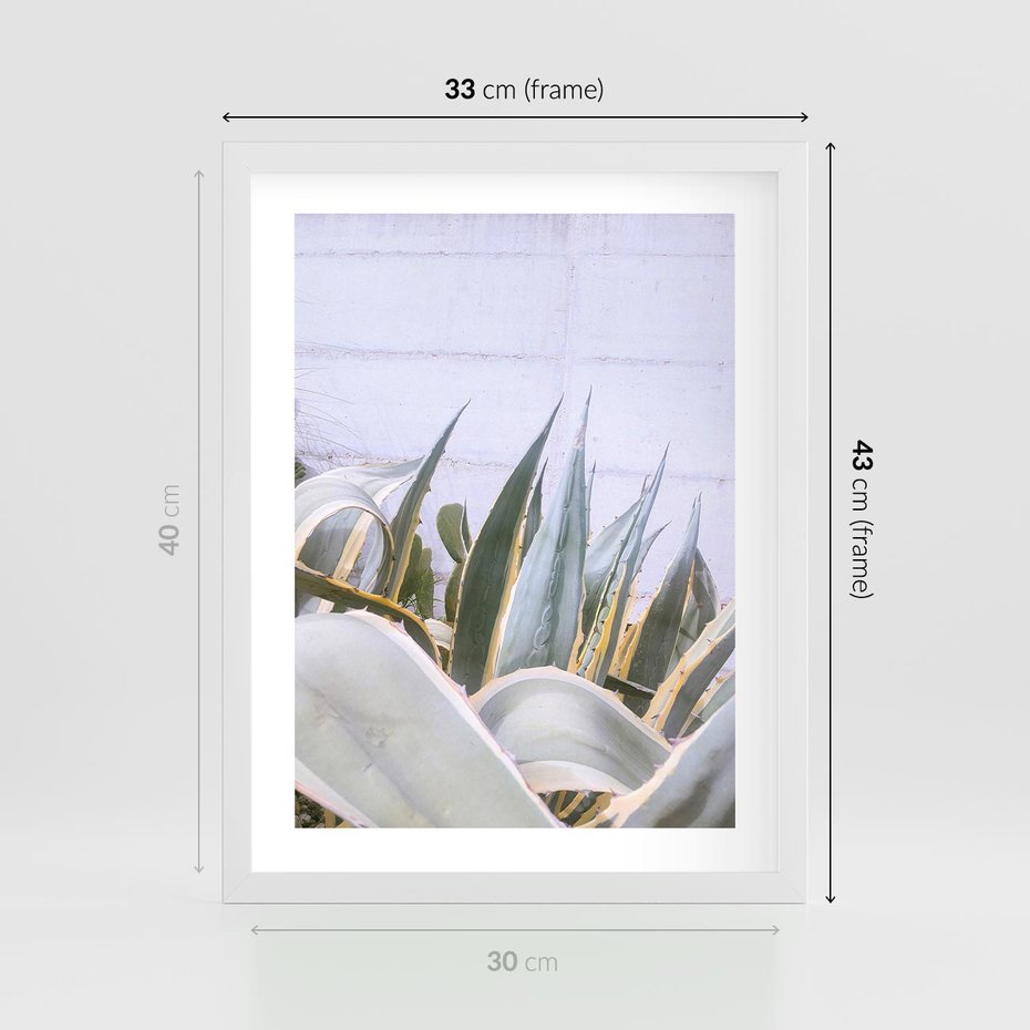 Plakat w ramie 30x40 - Sukulentowe liście - liście, sukulenty - rama biała