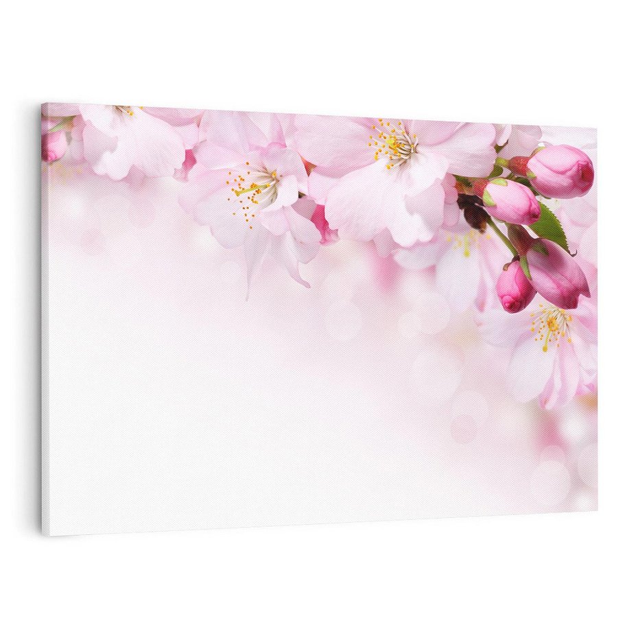 Obraz na płótnie 100x70 - Kwitnąca Wiśnia - kwiaty, kwitnącej