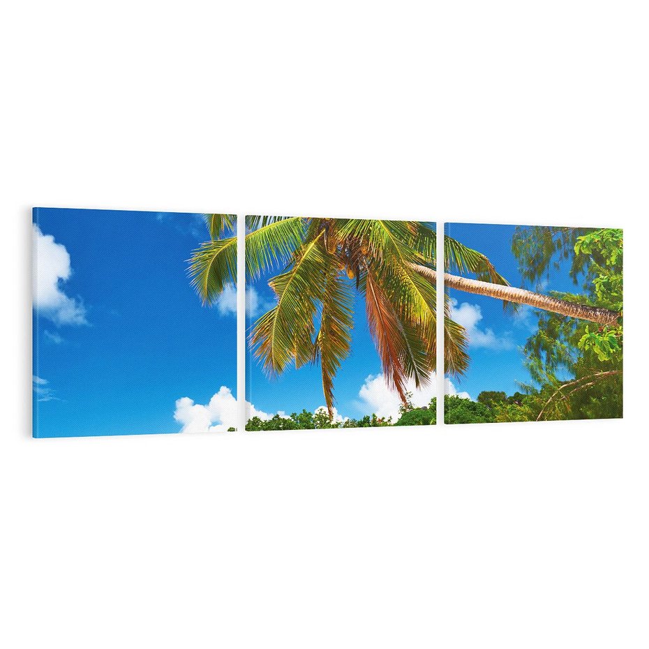 Obraz na płótnie 150x50 - Oaza palm na plaży - palma, plaża