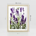 Plakat w ramie 40x50 - Fioletowa harmonia lawendy - lawenda, fiolet - rama drewno