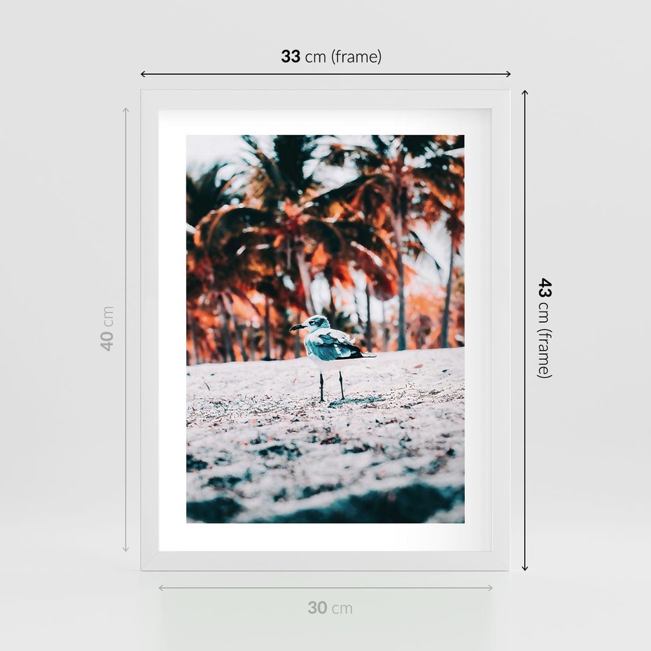 Plakat w ramie 30x40 - Tropikalna Uroda: Plaża z Mewą - tropikalna plaża, mewa na piasku - rama biała