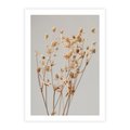 Plakat bez ramy 30x40 - Delikatne gipsówki - gipsówka, suche
